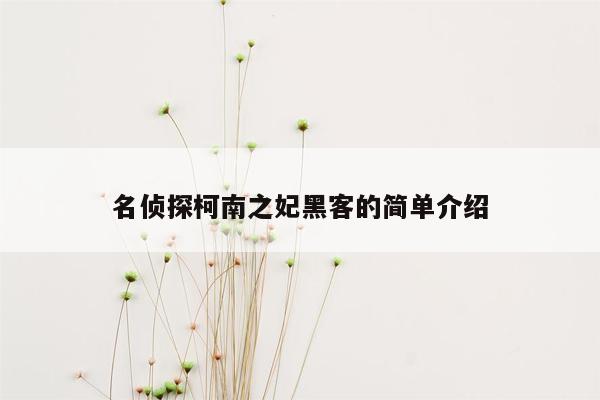 名侦探柯南之妃黑客的简单介绍