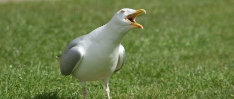 太侠用CHATGPT问了有关“侠说报告”的问题！？惊呆了！【原创】