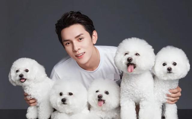 美团入驻麦当劳（知消周刊麦当劳数据遭黑客入侵泄露）(4)