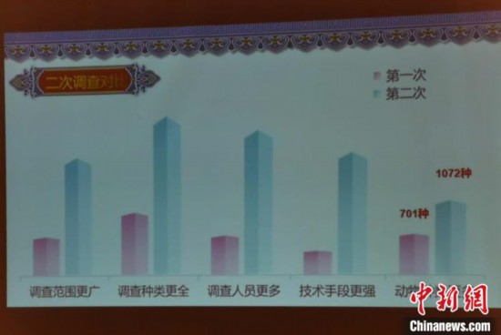 西藏陸生野生脊椎動物種數記錄增至1072種