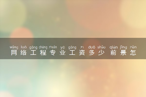 网络工程专业工资多少 前景怎么样