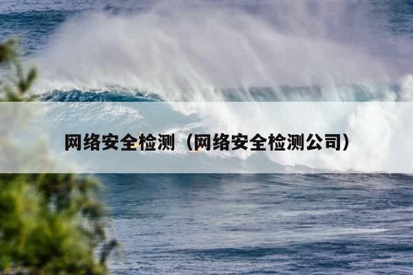 网络安全检测（网络安全检测公司）