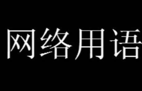 雨刷器腿是什么意思网络用语