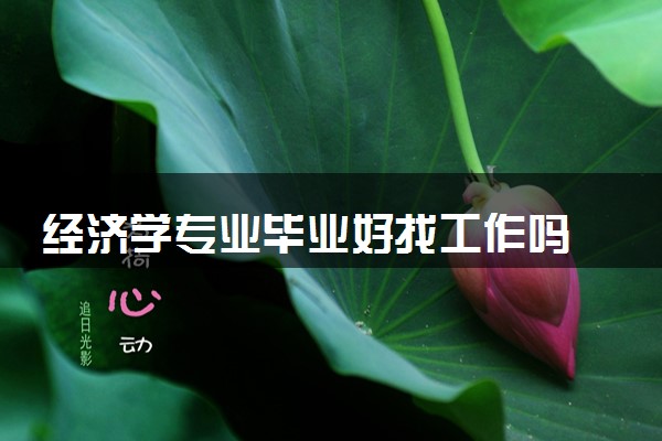 经济学专业毕业好找工作吗