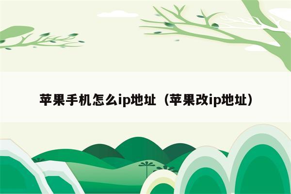 苹果手机怎么ip地址（苹果改ip地址）