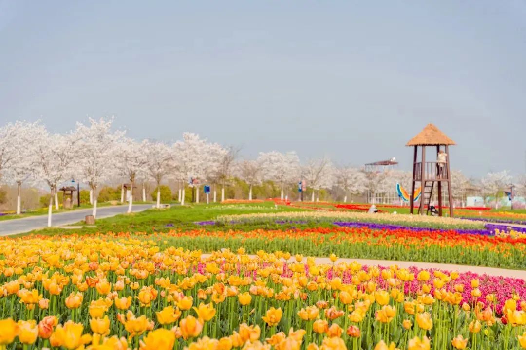 免费！半价！多个景区宣布