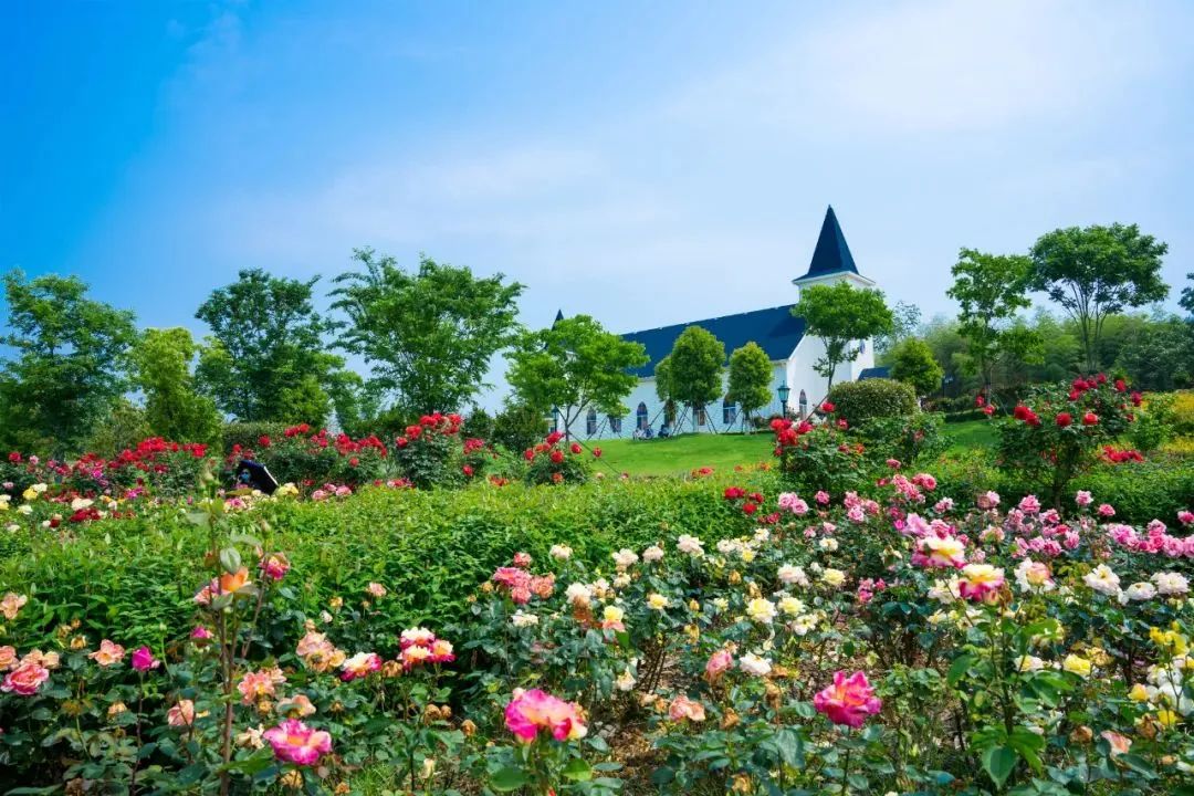 免费！半价！多个景区宣布