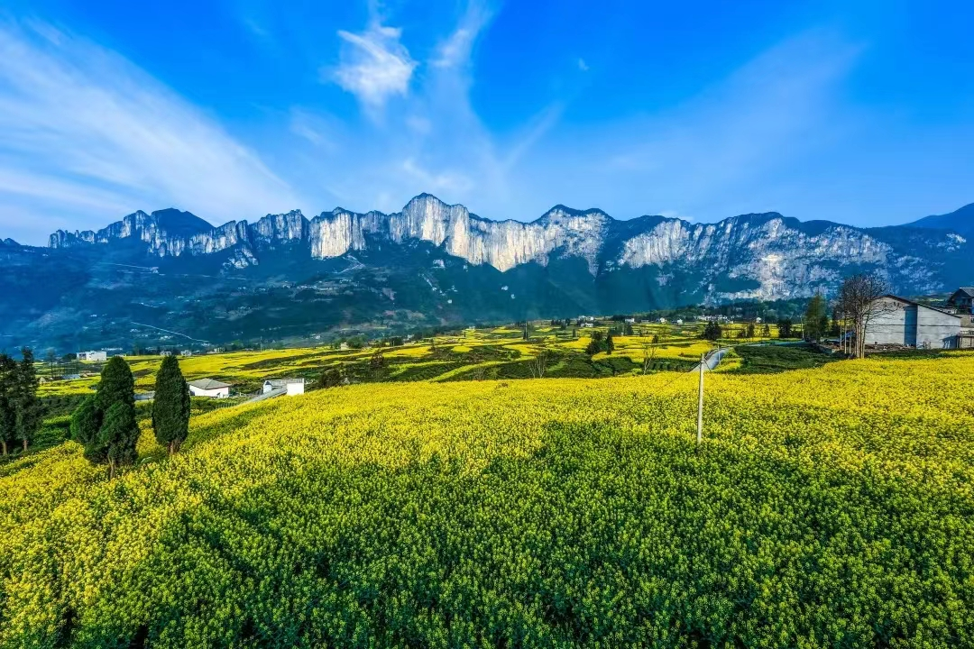 免费！半价！多个景区宣布