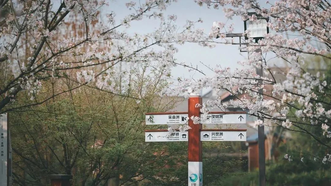 免费！半价！多个景区宣布