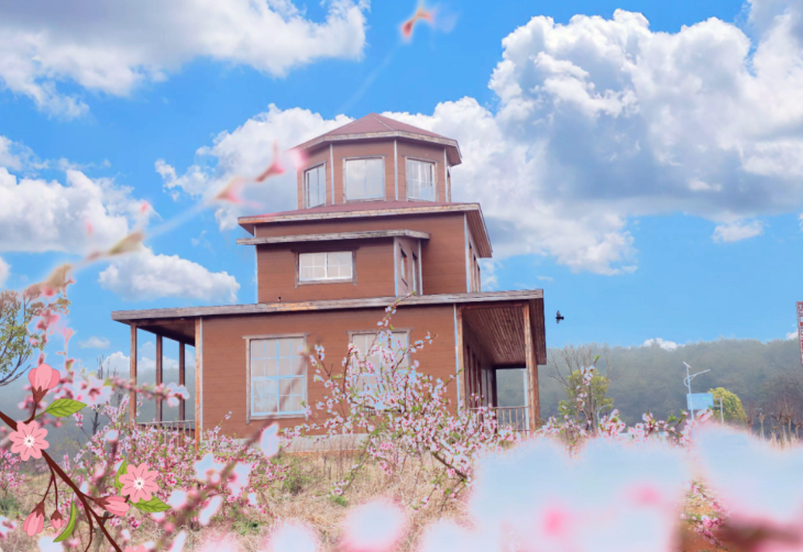 免费！半价！多个景区宣布