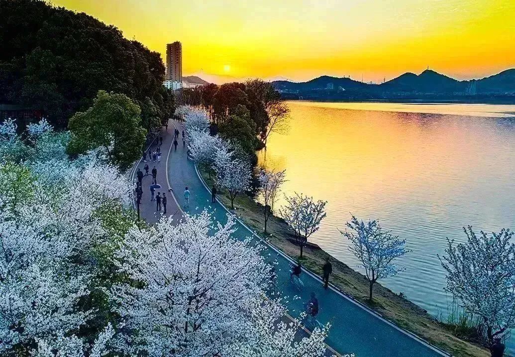 免费！半价！多个景区宣布