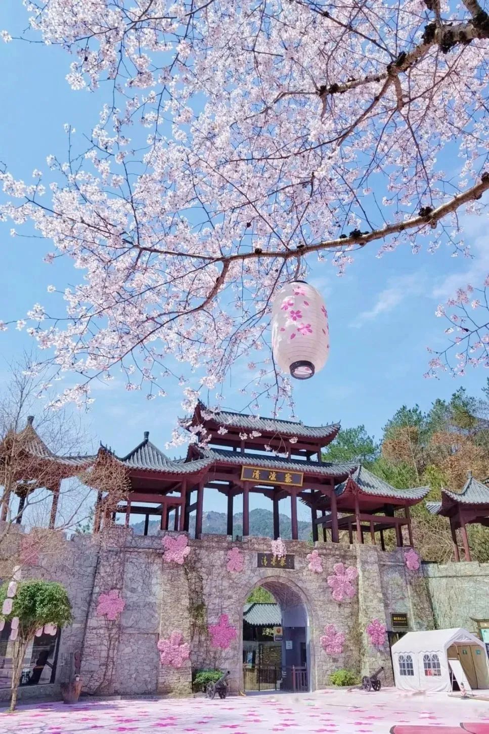 免费！半价！多个景区宣布