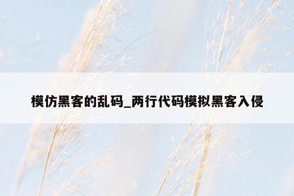模仿黑客的乱码_两行代码模拟黑客入侵