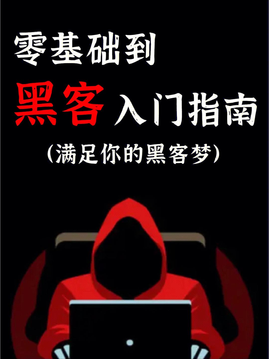 稳定！黑客编程教程全套“合从连衡”