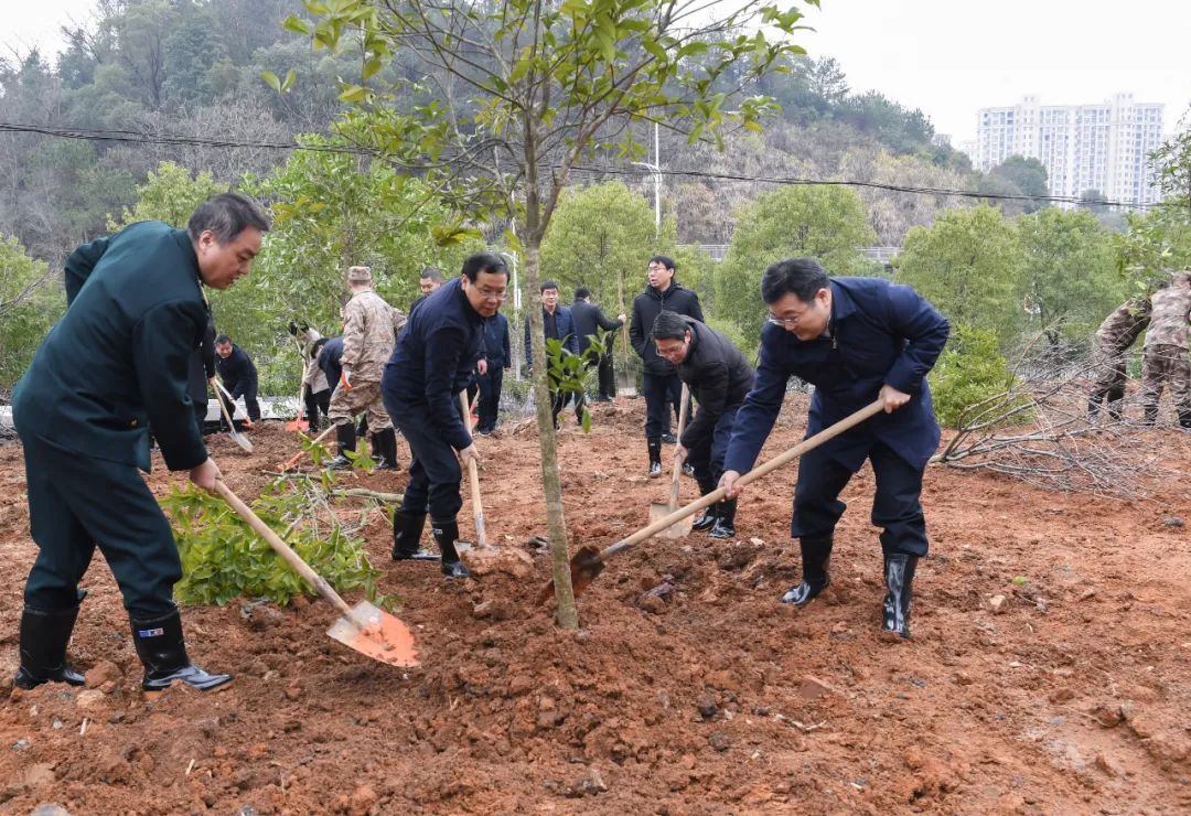 宜春市四套班子领导参加义务植树活动