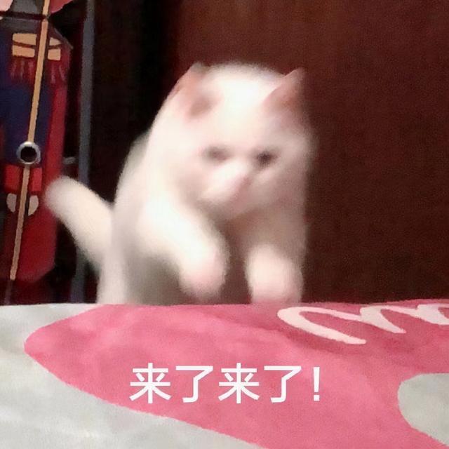 黑客基础知识全套（黑客入门很难吗）(1)