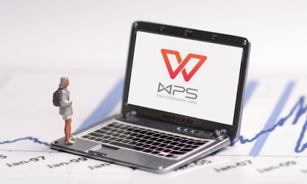 wps如何更改语言设置,如何把wps office从英文版改成中文图5