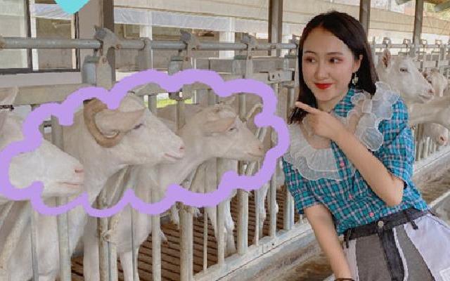 临安昌化金山银山之旅