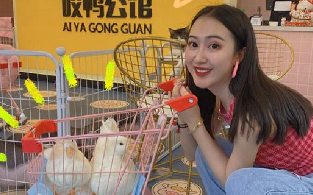 撸鸭小分队打卡柯尔鸭