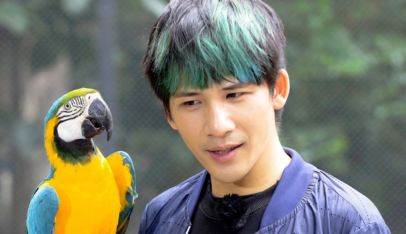 大张伟遭小学生嫌弃