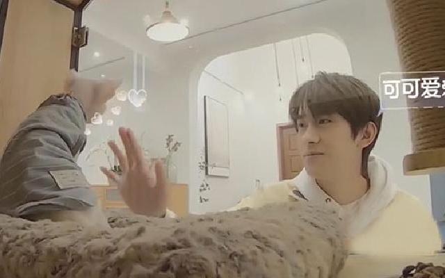 《朋友请听好》前期看晕了呀