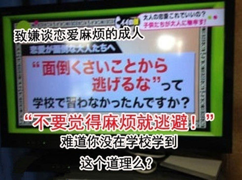 问卷调查结果
