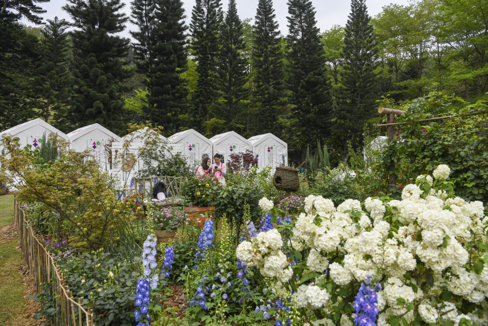 4月8日，观众在“海蒂的花园”里赏花、拍照。新华社记者 梁旭 摄