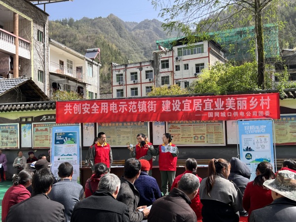 团委在治平乡惠民社区开展志愿服务活动。国网城口供电公司供图