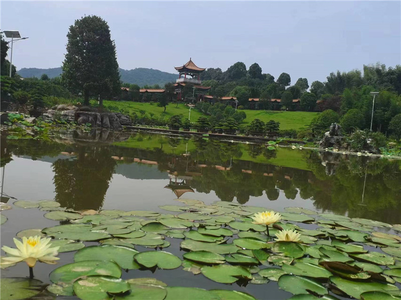 华雅盘石洲森林花园 受访单位供图