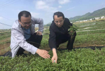 如何打造脱贫攻坚题材文学精品？人民网文娱部邀请中国作协创研部主任、研究员何向阳，贵州省文联、作协主席欧阳黔森，河北省作协主席关仁山，为我们讲述“脱贫攻坚题材报告文学创作工程”的历程和收获，分享创作心得和感悟。【详细】