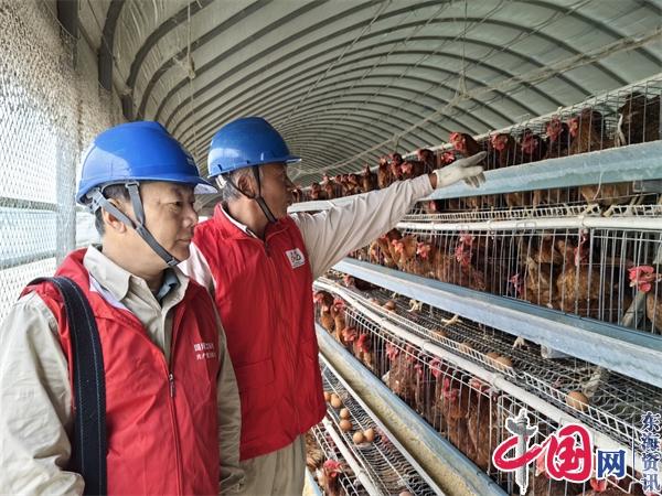 国网兴化市供电公司荻垛供电所：高经理推广“网上国网APP”有妙招