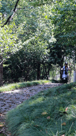 微信图片_20220906082408.gif