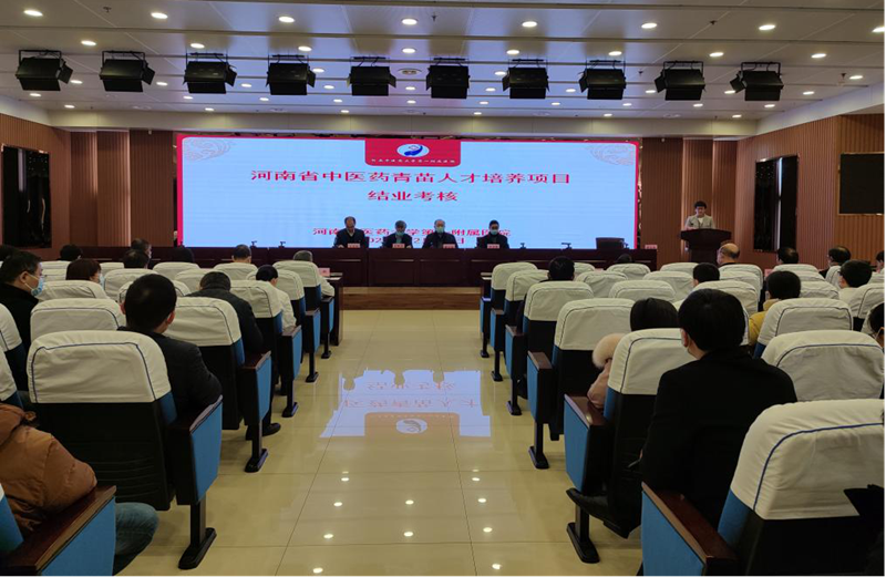 相关长尾词：年轻人才培养挑战与机遇