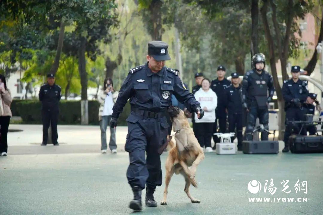 f08e124ad40188570f13d902dd73f83d