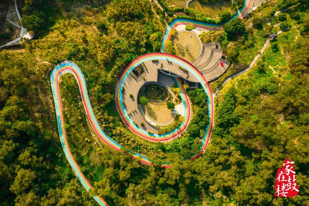 福州唯一！鼓楼又传喜报！