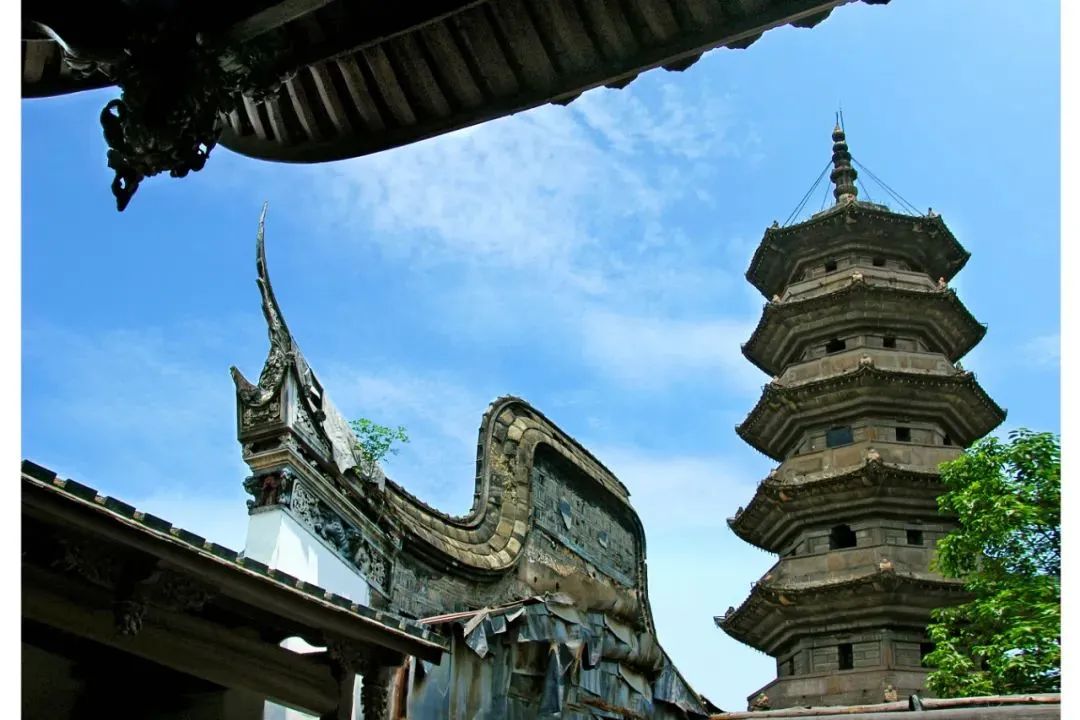 福州唯一！鼓楼又传喜报！