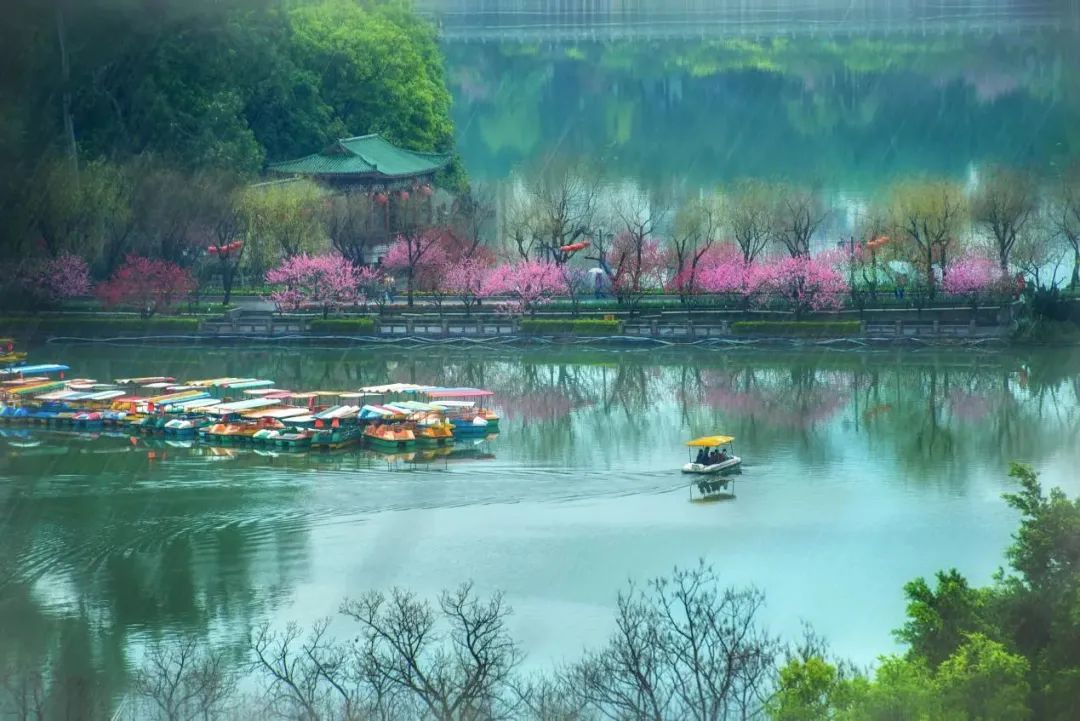 福州唯一！鼓楼又传喜报！