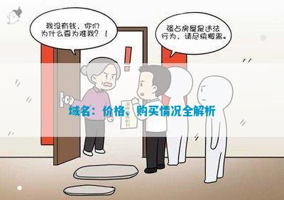 域名：价格、购买情况全解析