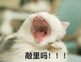 我俏丽吗是什么意思 我俏丽吗是什么梗 有人这么问你怎么办