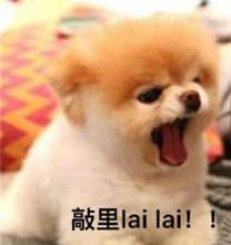 我俏丽吗是什么意思 我俏丽吗是什么梗 有人这么问你怎么办