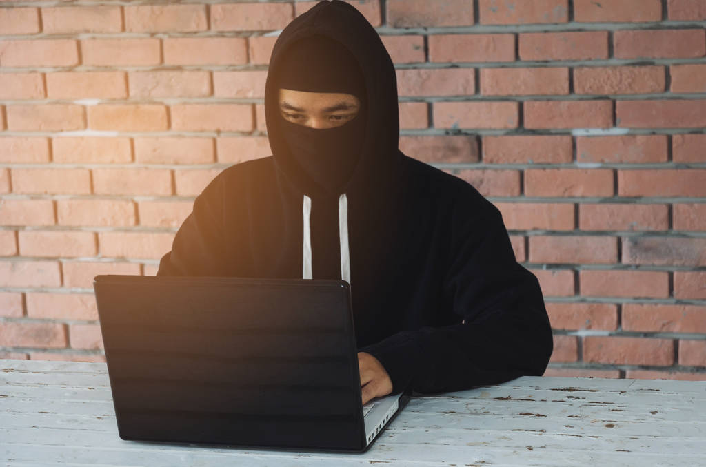 二、专业领域内的突出成就